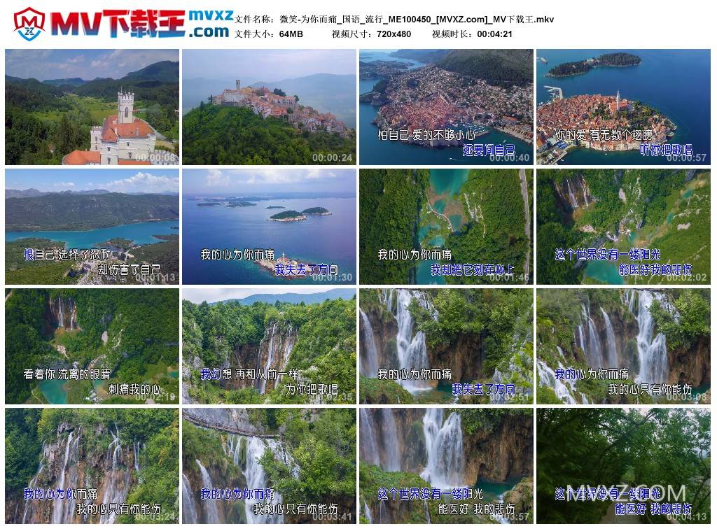 微笑-为你而痛_国语_流行_ME100450